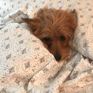 BUNDLE UP AND SAVE! Make me an offer!!!